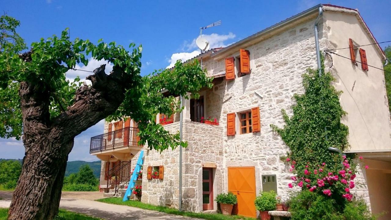 Villa Angela E Giovanni Vižinada Eksteriør billede